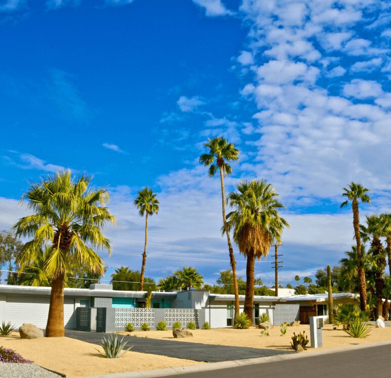 Mid-century modern house, palm trees, sunny day.